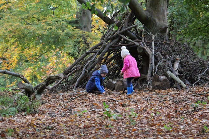 Den building at Killerton